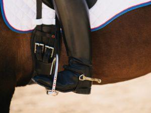 2016-Bio-Rider-1116-calf