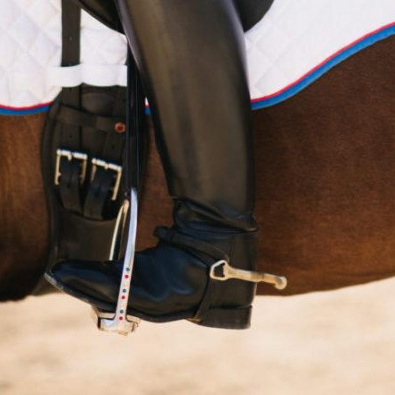 2016-Bio-Rider-1116-calf