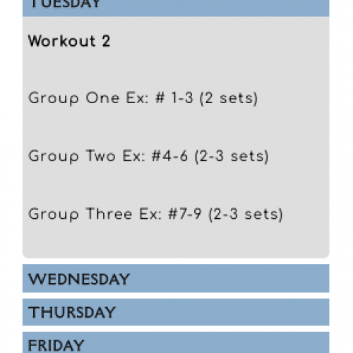 6 Week Workout |  Beginner