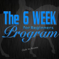 THE 6 WEEK WORKOUT