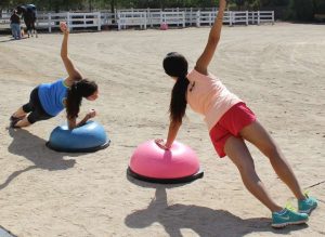 Side Planks:BOSU