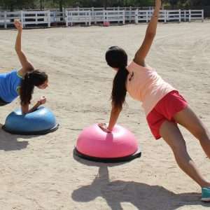 Side Planks:BOSU