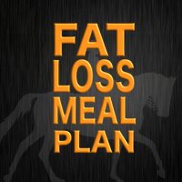 FAT LOSS MEAL PLAN 