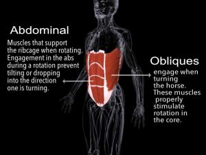 Abdominal and Obliques for Rotation