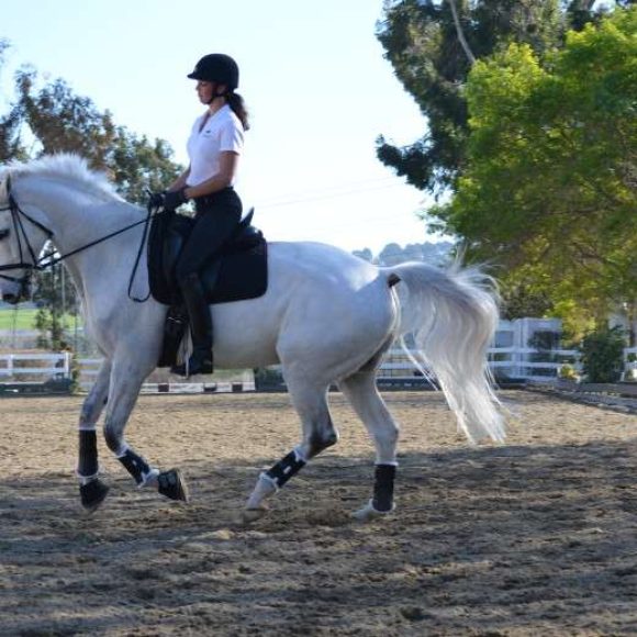 Billy and Bridget Olson Del Mar Showpark Clinic
