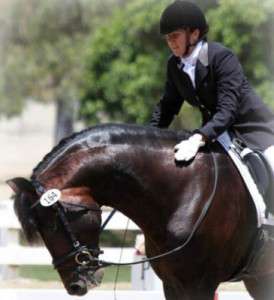 Goal Setting | Showing Horses