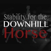 Stability for downhill horse Biorider
