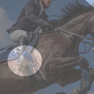 Stirrup Stability-1