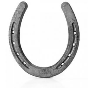 216770-500x430-Lucky-horseshoe