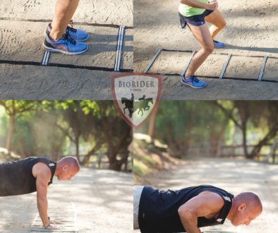 BioRider-Fit-Ladder-Multi-Pic