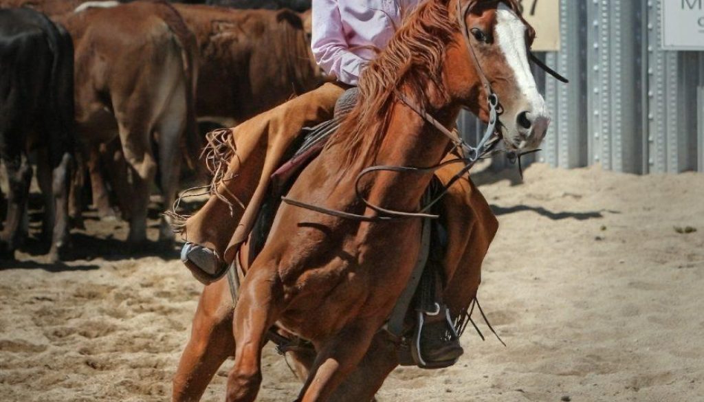 cowgirl-419084_1920