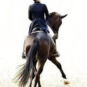 Every imbalance, weakness or restriction shows up in your riding.