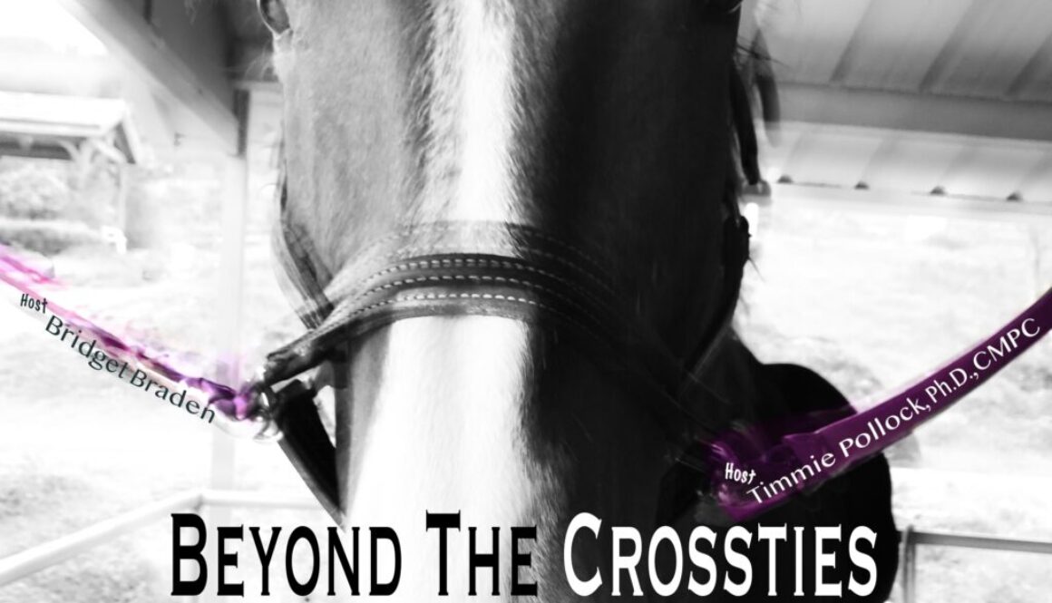 Beyond the crossties- mddison