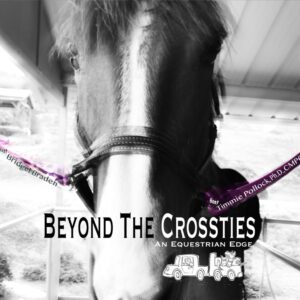 Beyond the crossties- mddison