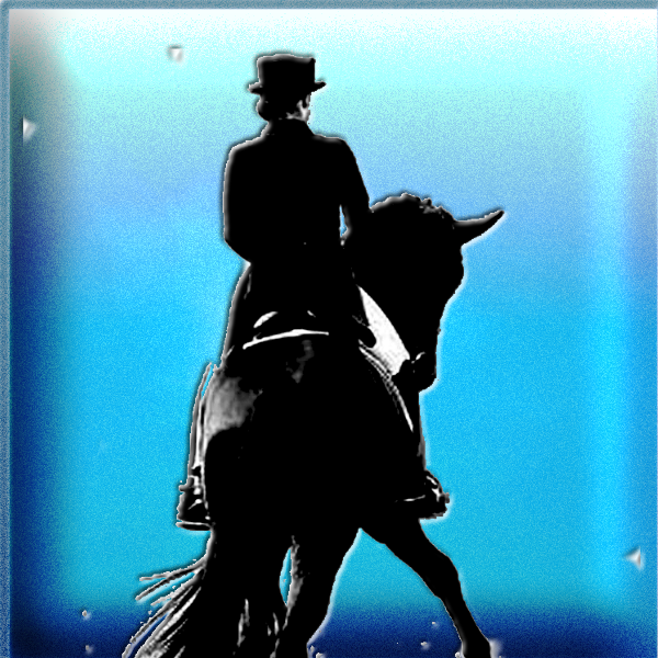 Dressage Fitness Training