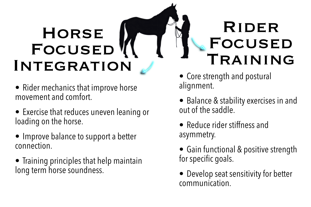 90 Day Horse and Rider Training Program