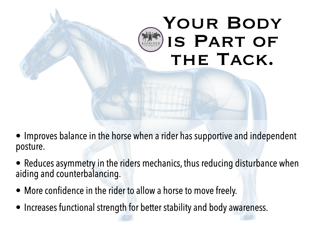improves balance in the horse when rider has good posture